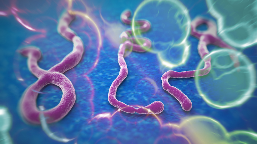 Thông tin về “thần dược” ZMapp – thuốc đặc trị Ebola
